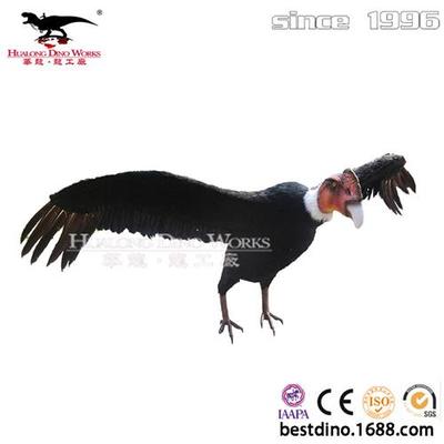 仿真动物模型仿真秃鹫机模鸟类模型自然博物馆展览参观拍照.