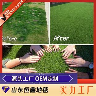 人造草假草坪地毯操场塑料绿色户外围挡草皮绿化定制仿真草坪