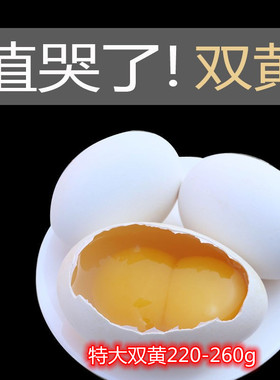 顺丰包邮正宗农家散养新鲜双黄鹅蛋特大土鹅蛋8枚装 新鲜孕妇儿童
