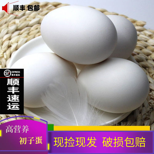 顺丰鹅蛋芷华顺丰散养新鲜鹅蛋