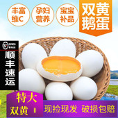 250克 农家散养双黄土鹅蛋超大8枚新鲜孕妇特大鹅蛋190 顺丰 包邮