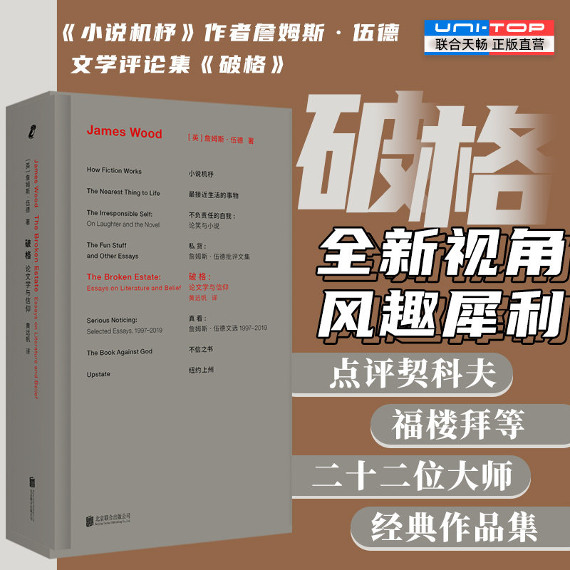 正版包邮 破格 小说机杼作者詹姆斯&middot;伍德首部文学评论集 全新视角风趣犀利点评契科夫福楼拜等22位西方经典小说大师 外国文学评论