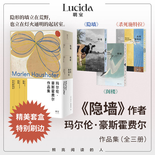 阁楼+隐墙+杀死施特拉全3册