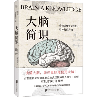 官方店包邮大脑简识 马克马格里尼以风趣通俗的方式讲解世界脑科学前沿成果读懂人类大脑的各项机能机制成人科普书籍