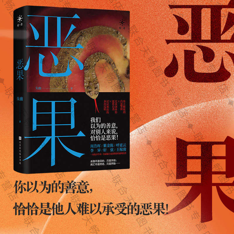 正版现货 恶果 朱幽 你以为的善意,恰恰是他人难以承受的恶果 悬疑小说