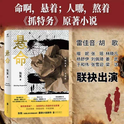 官方正版悬命胡歌雷佳音抓特务