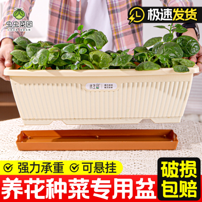 阳台种菜盆霍伦盆家庭长方形