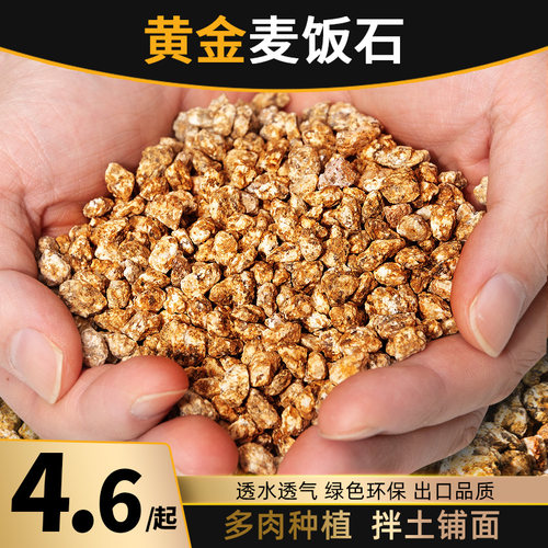 黄金软麦饭石多肉绿植