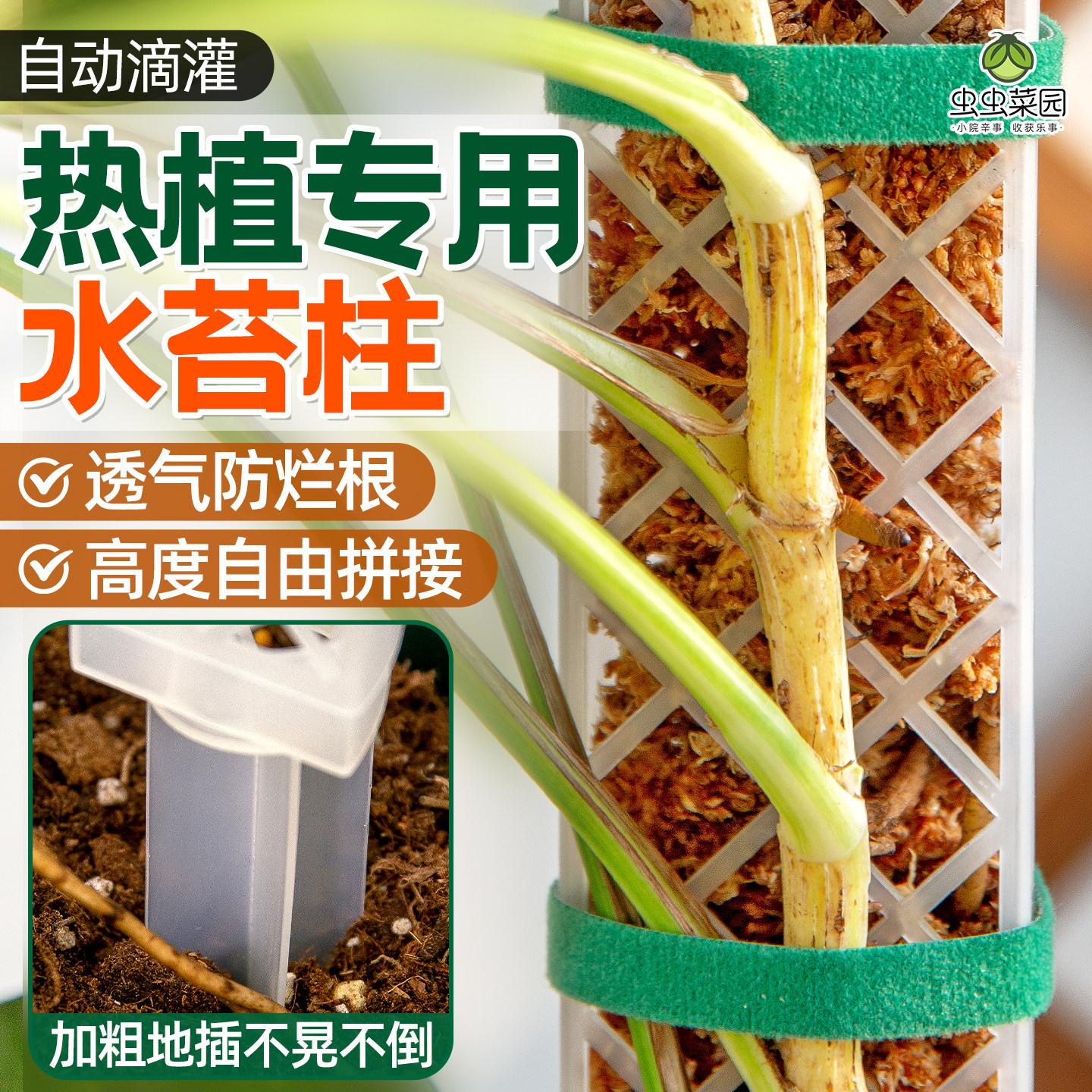 龟背竹水苔柱热植专用支撑杆图片