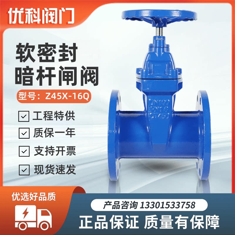 Z45X软密封闸阀铸铁弹性座封法兰暗杆消防阀自来水开关阀门DN100