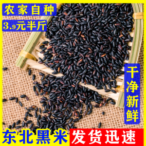新货黑米农家自产东北黑龙江五常黑香米粗粮250g五谷杂粮粥饭