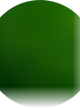 全新优质物美价廉盆景盆栽