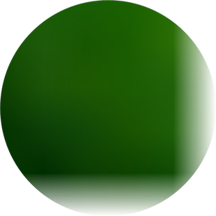 仿真水果树 仿真植物盆景小盆栽 塑料花 发财桔子金橘果实树