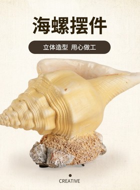仿真创意海螺摆件室内家居客厅装饰卧室摆件饮品店摆饰工艺品定制