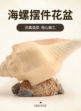 简约真海螺摆件 创意家居室内卧室客厅插花装饰工艺品摆件定制