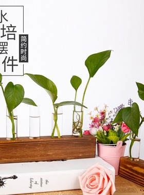 透明新款花瓶培植物创意木架水养绿萝花盆插花容器桌面装饰摆定制