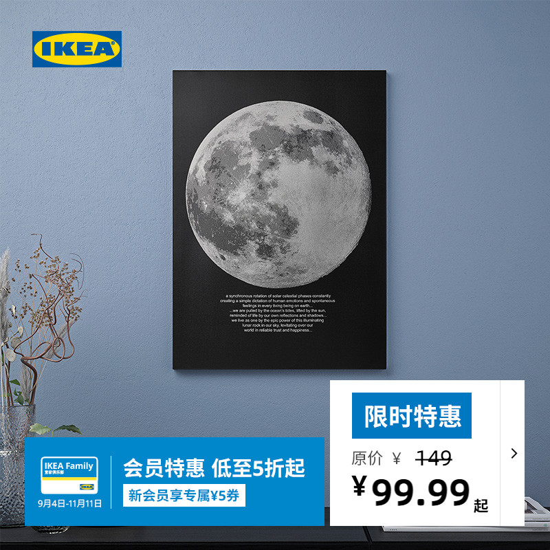 IKEA宜家皮亚特家庭装饰现代艺术画鹿海岸金色小鸟图片