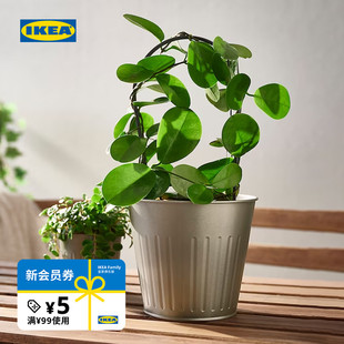 IKEA宜家CITRONMELISS塞吉利斯金属花盆多肉花盆阳台现代家用