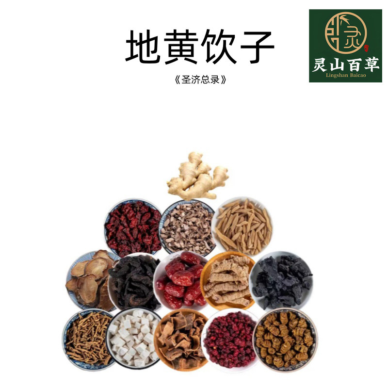 灵山百草 地黄饮子《圣济总录》经典方剂 山茱萸菖蒲麦冬熟地黄