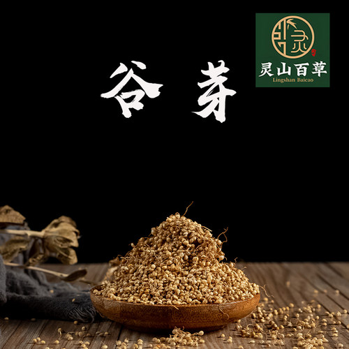 灵山百草 中药材  生谷芽 新鲜干货谷芽小米芽 50~500g克
