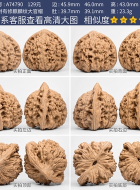 文玩核桃麒麟纹官帽核桃一物一图A74790老树有修王勇官帽特大46mm