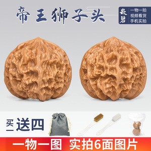 文玩核桃一物一图帝王狮子头核桃龙纹官帽盘山龙鳞纹手工打底超大