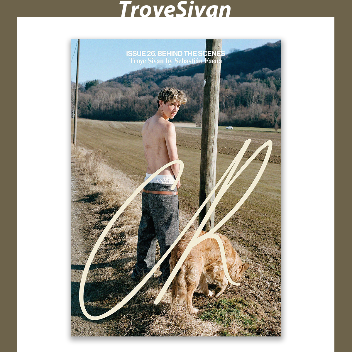 TroyeSivan戳爷周边自印海报/特洛耶希文A3明星周边装饰画