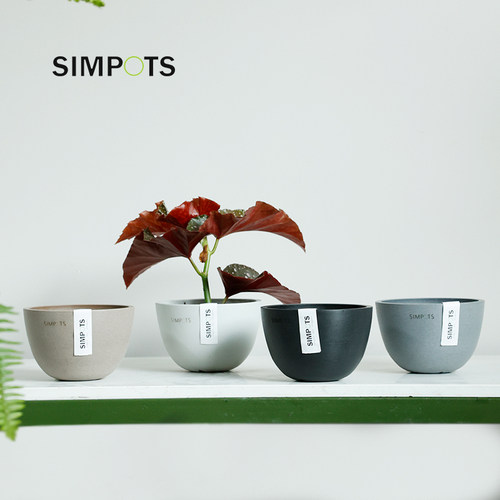 SIMPOTS森宝|环保树脂花盆简约块根兰花多肉桌面迷你客厅阳台抗晒