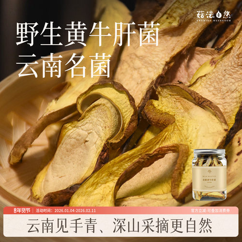 野生黄牛肝菌片形完整干净煲汤上品香味浓郁
