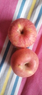 旱园牌山西壶口苹果红富士脆甜糖点19以上吉县新鲜二级果净9.0斤