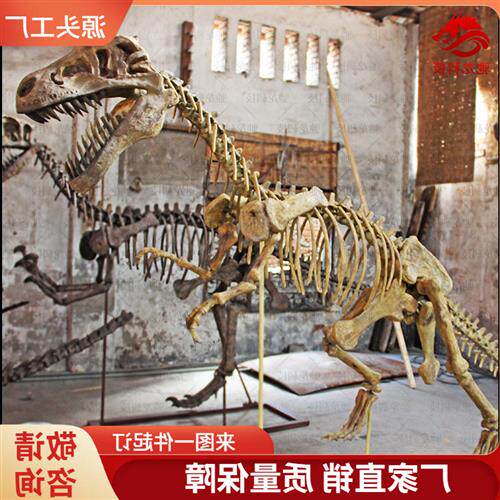 恐龙仿真骨架恐爪龙盗龙化石模型博物馆科普动物骨骼标本玻璃钢