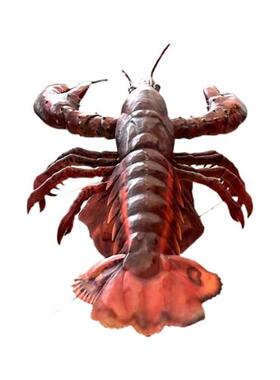 仿真动物动态模型龙虾爬爬虾模型海鲜馆馆饭店餐馆店招美陈装饰