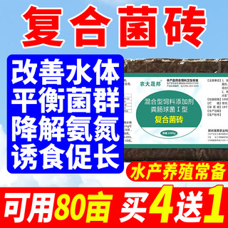 发酵菌砖复合乳酸菌em益生菌水产养殖鱼蟹对虾调节肠道速长促生长