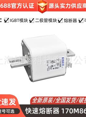 170M8635170M8636快速熔断器保险丝电子元器件量大价优