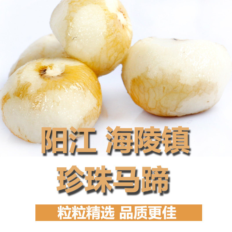 【品鲜】珍珠马蹄荸荠去皮阳江香糯椰子鸡配料小马蹄新鲜250g/袋