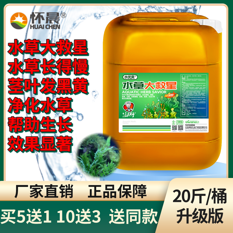 水草无力发黄发黑腐烂虾蟹塘水草生根挂脏高温保草伊乐藻轮叶黑藻