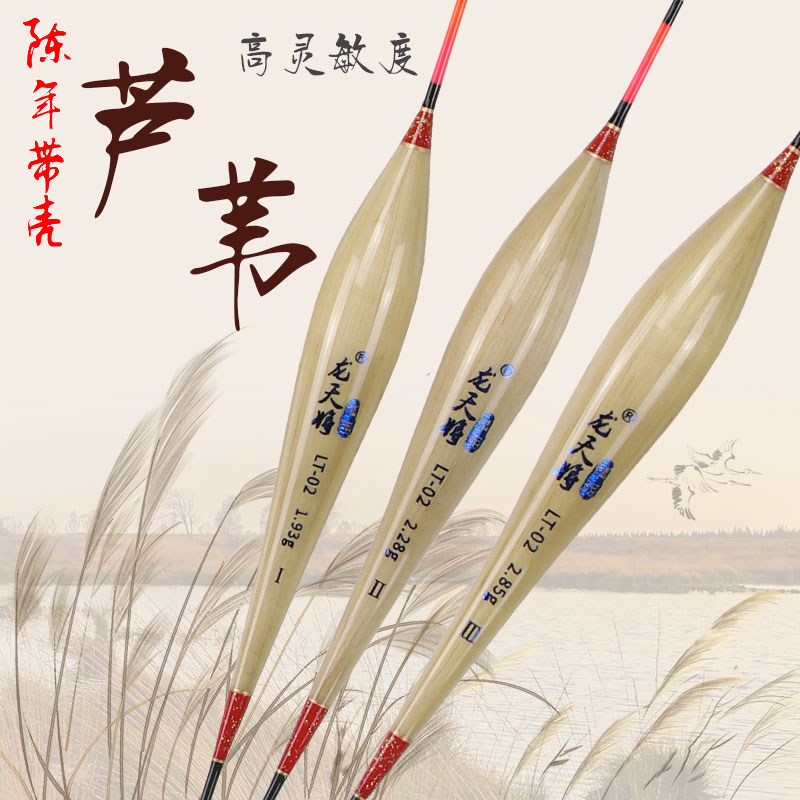 龙天将芦苇/纳米粗尾/西尾图片