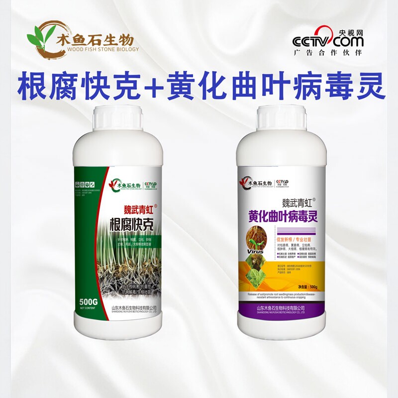 根腐快克黄化曲叶病毒灵甲霜恶霉灵微生物菌剂棉花茎腐病专用药