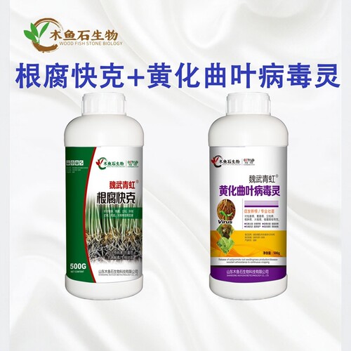 根腐专用黄化曲叶生物菌剂