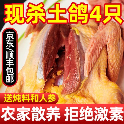 【顺丰包邮】农家土鸽子新鲜现杀