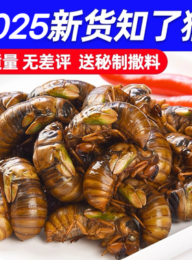 知了猴金蝉新鲜蝉蛹鲜活2025现捕爬叉猴子批发结了龟冷冻知了猴子