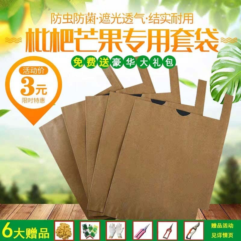 枇杷套袋专用袋防虫防水