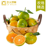 坏果包赔 口感酸爽 芭芭农场兑换专享 寻乌蜜桔2斤单果60mm