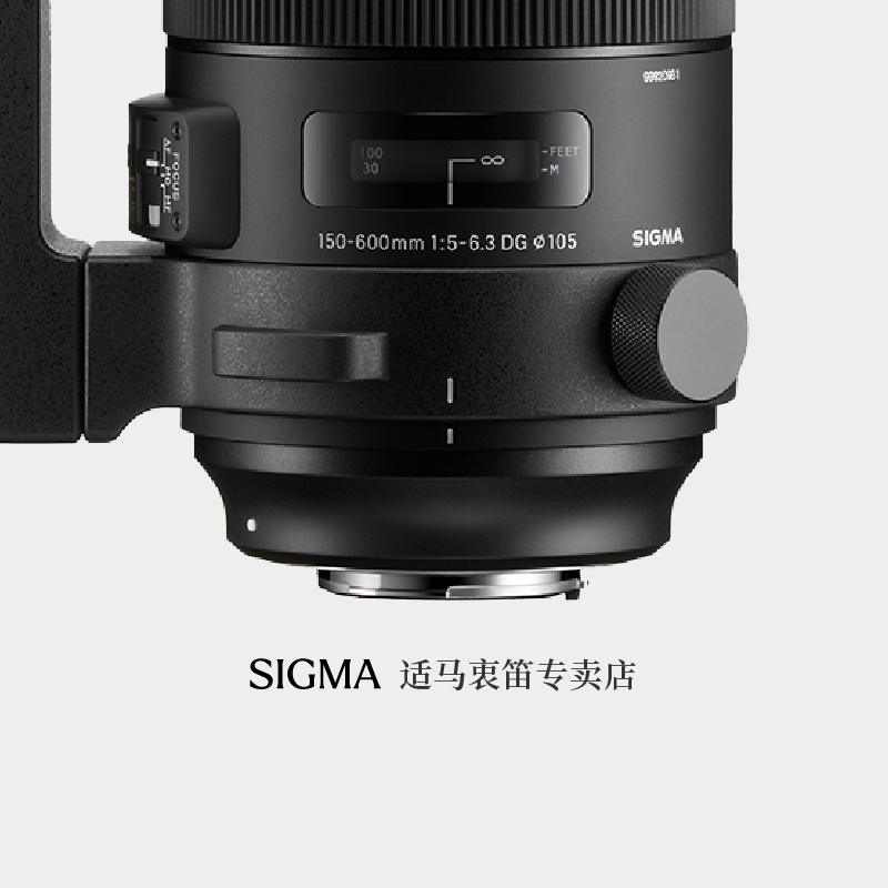 sigma适马s版专业远摄打鸟镜头