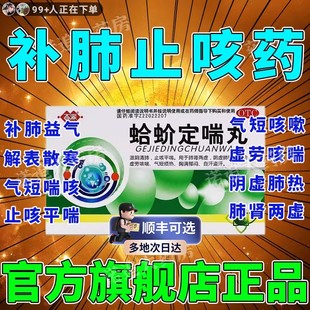 zn蛤蚧定喘丸补肺益气咳喘药止咳平喘特药效苏子肺气肿降气丸药特