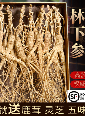 人参长白山野山参东北林下参泡酒老山参高年特产野生干货20礼盒
