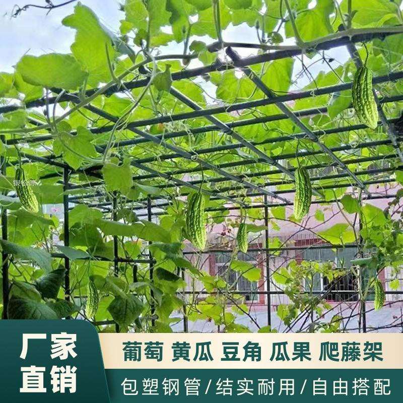 葡萄架户外庭院楼顶搭棚天台棚架组装百香果苦瓜攀爬铁架阳台植物