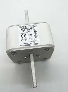170M3023 170M6166 FWH-80B 熔断器