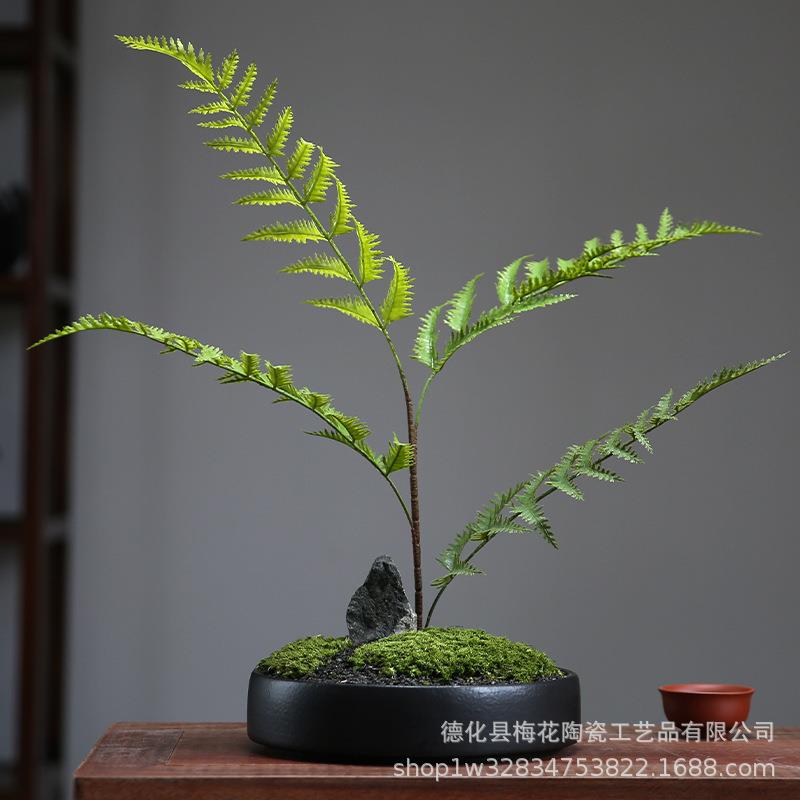 仿生绿植造景苔藓微景观蕨类植物盆栽盆景装饰室内客厅新中式摆件