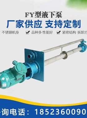重庆FYH型立式不锈钢化工耐腐蚀液下泵 单级单吸长轴式液下离心泵